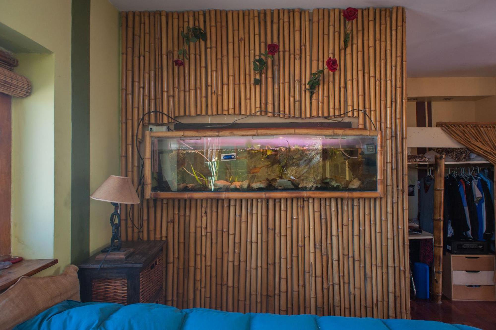 Hotel Apassionata Tango Ciudad Autónoma de Buenos Aires